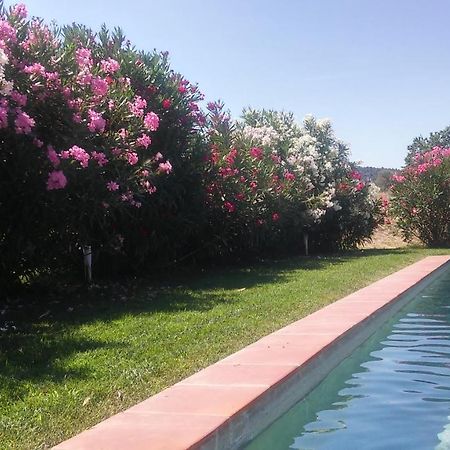 Mas Figueres Villa Marca المظهر الخارجي الصورة