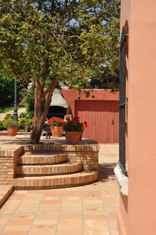 Mas Figueres Villa Marca المظهر الخارجي الصورة